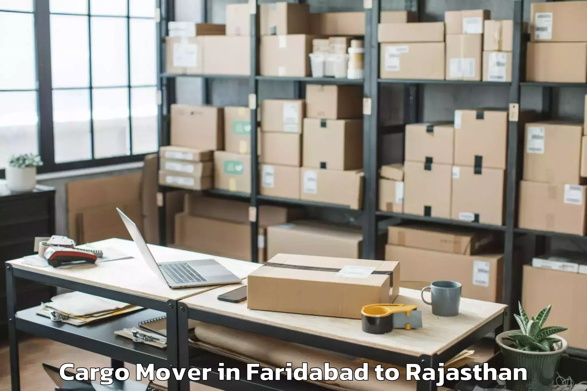 Book Faridabad to The Lnm Institute Of Informati Cargo Mover